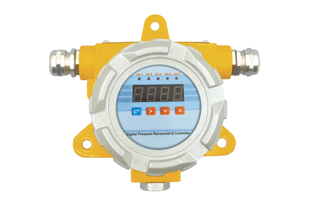 防爆數(shù)顯儀表